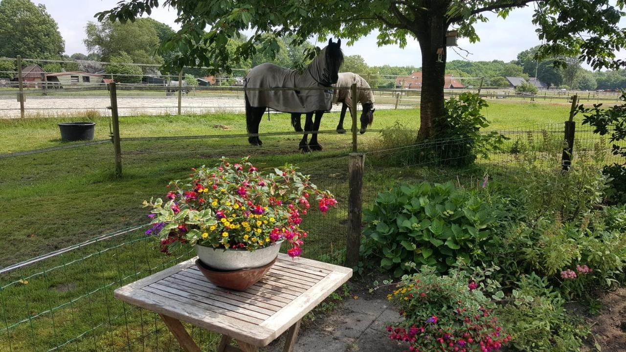 Vakantiehuis Aan de Zandweg Roderesch Buitenkant foto