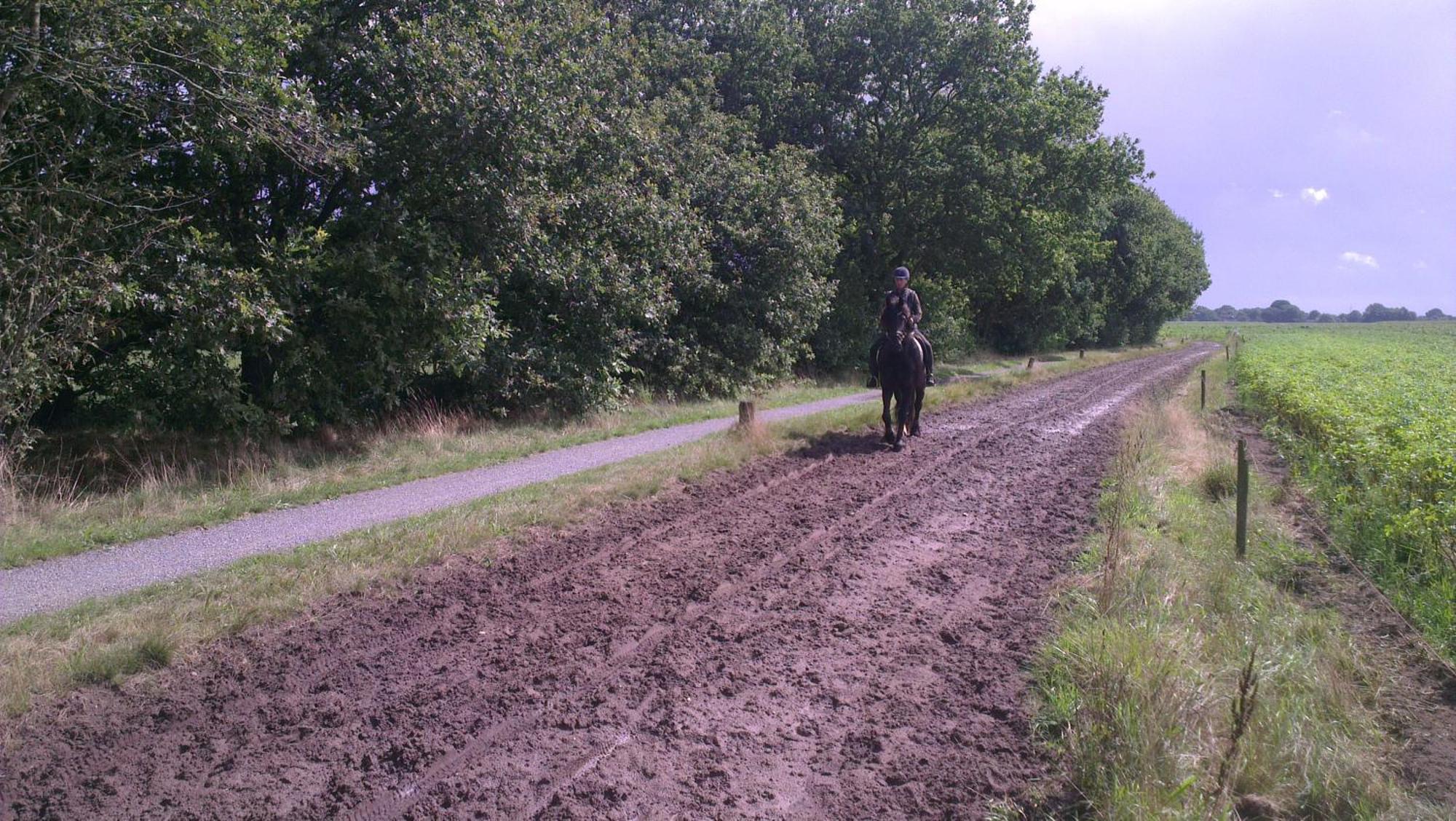 Vakantiehuis Aan de Zandweg Roderesch Buitenkant foto