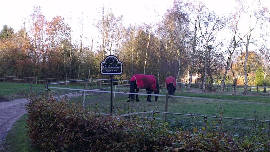 Vakantiehuis Aan de Zandweg Roderesch Kamer foto