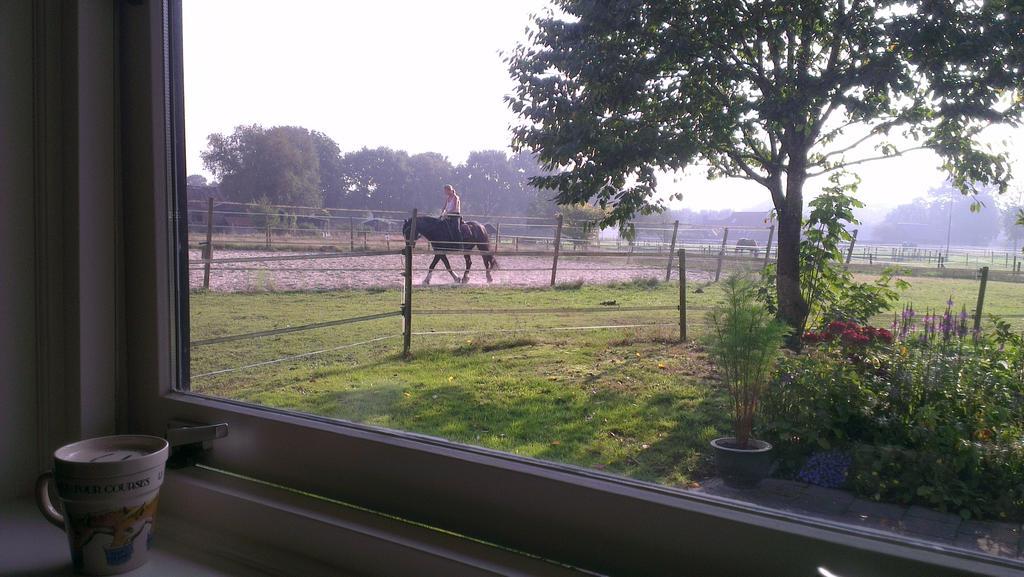 Vakantiehuis Aan de Zandweg Roderesch Kamer foto